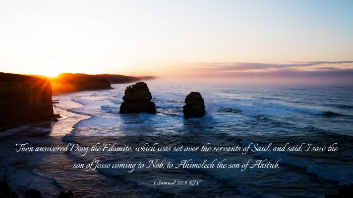 Picture 03 - 1 Samuel 22:9 KJV Desktop Wallpaper - Then answered Doeg the Edomite, which was set - Desktop Bible Verse Wallpaper