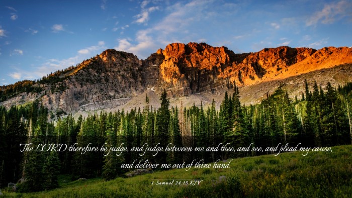 Picture 03 - 1 Samuel 24:15 KJV Desktop Wallpaper - The LORD therefore be judge, and judge between me - Desktop Bible Verse Wallpaper