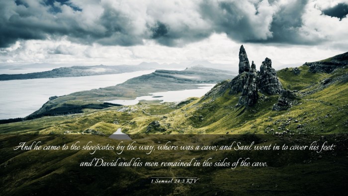 Picture 03 - 1 Samuel 24:3 KJV Desktop Wallpaper - And he came to the sheepcotes by the way, where - Desktop Bible Verse Wallpaper
