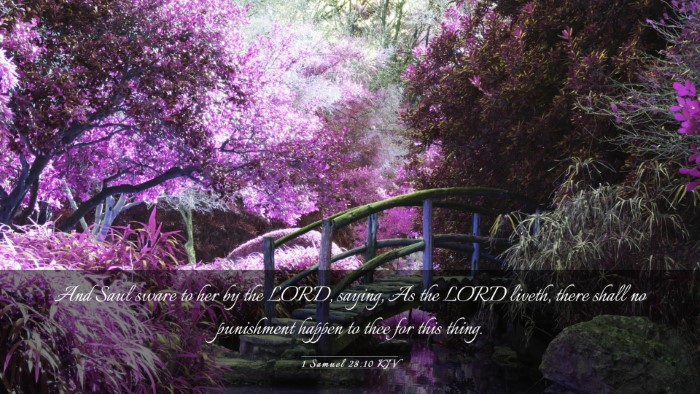 Picture 03 - 1 Samuel 28:10 KJV Desktop Wallpaper - And Saul sware to her by the LORD, saying, As the - Desktop Bible Verse Wallpaper