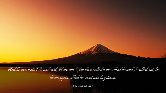Picture 03 - 1 Samuel 3:5 KJV Desktop Wallpaper - And he ran unto Eli, and said, Here am I; for - Desktop Bible Verse Wallpaper