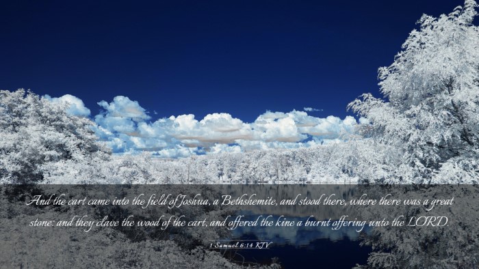 Picture 03 - 1 Samuel 6:14 KJV Desktop Wallpaper - And the cart came into the field of Joshua, a - Desktop Bible Verse Wallpaper