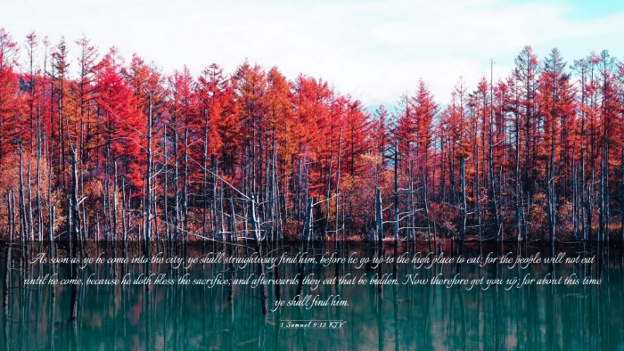 Picture 03 - 1 Samuel 9:13 KJV Desktop Wallpaper - As soon as ye be come into the city, ye shall - Desktop Bible Verse Wallpaper