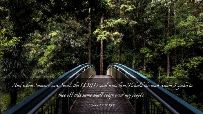 Picture 03 - 1 Samuel 9:17 KJV Desktop Wallpaper - And when Samuel saw Saul, the LORD said unto him, - Desktop Bible Verse Wallpaper