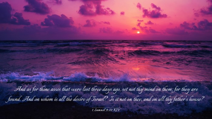 Picture 03 - 1 Samuel 9:20 KJV Desktop Wallpaper - And as for thine asses that were lost three days - Desktop Bible Verse Wallpaper