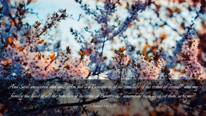 Picture 03 - 1 Samuel 9:21 KJV Desktop Wallpaper - And Saul answered and said, Am not I a Benjamite, - Desktop Bible Verse Wallpaper