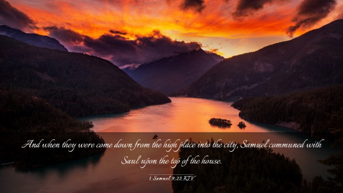 Picture 03 - 1 Samuel 9:25 KJV Desktop Wallpaper - And when they were come down from the high place - Desktop Bible Verse Wallpaper