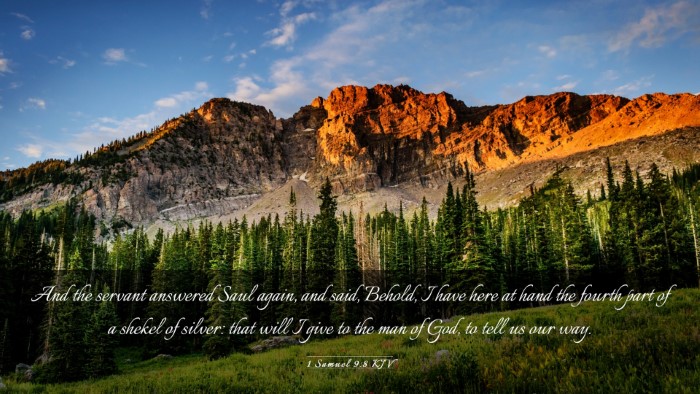 Picture 03 - 1 Samuel 9:8 KJV Desktop Wallpaper - And the servant answered Saul again, and said, - Desktop Bible Verse Wallpaper