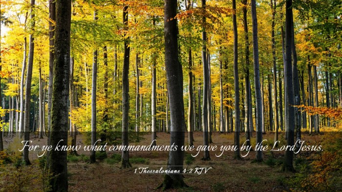 Picture 03 - 1 Thessalonians 4:2 KJV Desktop Wallpaper - For ye know what commandments we gave you by the - Desktop Bible Verse Wallpaper