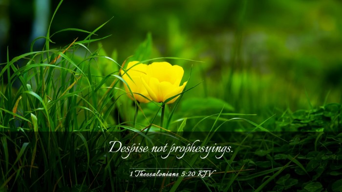 Picture 03 - 1 Thessalonians 5:20 KJV Desktop Wallpaper - Despise not - Desktop Bible Verse Wallpaper