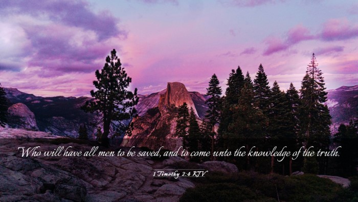 Picture 03 - 1 Timothy 2:4 KJV Desktop Wallpaper - Who will have all men to be saved, and to come - Desktop Bible Verse Wallpaper