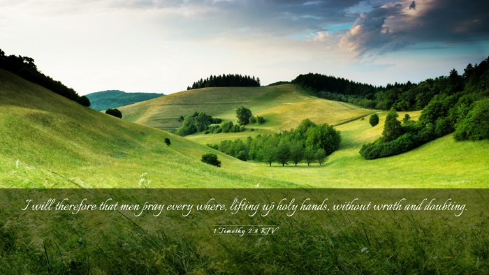 Picture 03 - 1 Timothy 2:8 KJV Desktop Wallpaper - I will therefore that men pray every where, - Desktop Bible Verse Wallpaper
