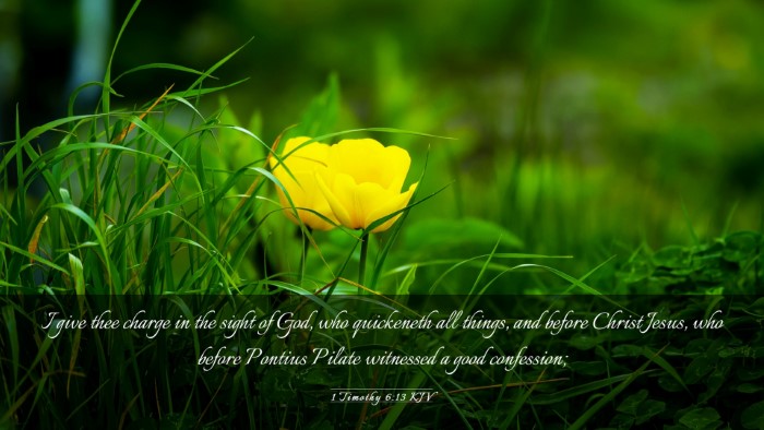 Picture 03 - 1 Timothy 6:13 KJV Desktop Wallpaper - I give thee charge in the sight of God, who - Desktop Bible Verse Wallpaper