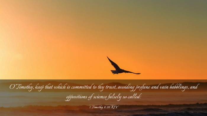Picture 03 - 1 Timothy 6:20 KJV Desktop Wallpaper - O Timothy, keep that which is committed to thy - Desktop Bible Verse Wallpaper