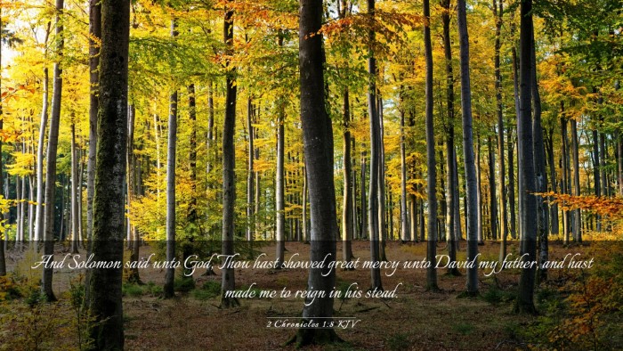 Picture 03 - 2 Chronicles 1:8 KJV Desktop Wallpaper - And Solomon said unto God, Thou hast showed great - Desktop Bible Verse Wallpaper