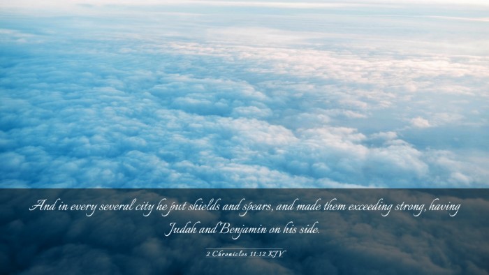 Picture 03 - 2 Chronicles 11:12 KJV Desktop Wallpaper - And in every several city he put shields and - Desktop Bible Verse Wallpaper