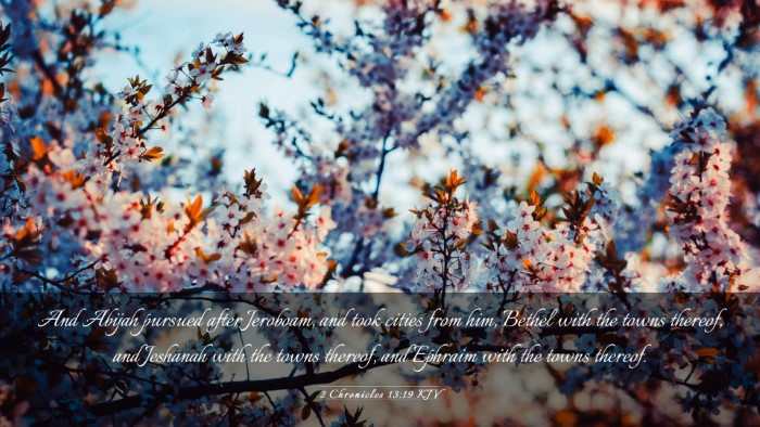 Picture 03 - 2 Chronicles 13:19 KJV Desktop Wallpaper - And Abijah pursued after Jeroboam, and took - Desktop Bible Verse Wallpaper