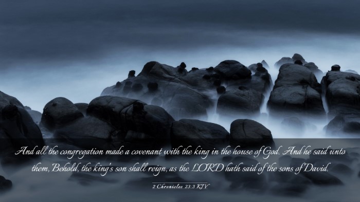 Picture 03 - 2 Chronicles 23:3 KJV Desktop Wallpaper - And all the congregation made a covenant with the - Desktop Bible Verse Wallpaper