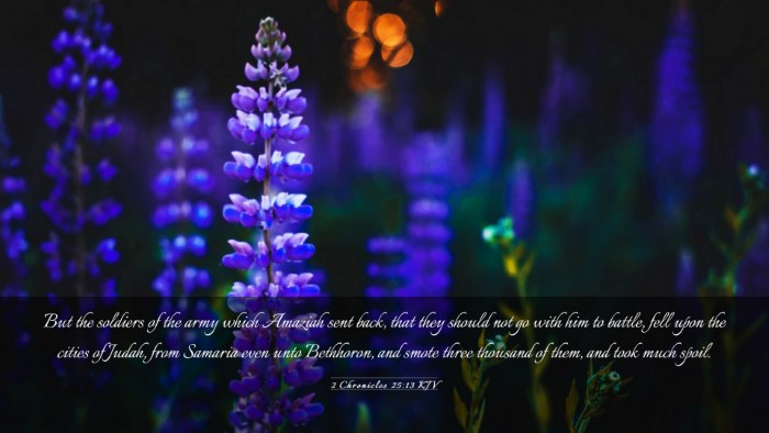 Picture 03 - 2 Chronicles 25:13 KJV Desktop Wallpaper - But the soldiers of the army which Amaziah sent - Desktop Bible Verse Wallpaper