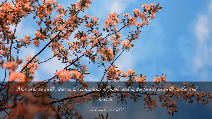 Picture 03 - 2 Chronicles 27:4 KJV Desktop Wallpaper - Moreover he built cities in the mountains of - Desktop Bible Verse Wallpaper