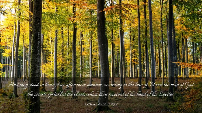 Picture 03 - 2 Chronicles 30:16 KJV Desktop Wallpaper - And they stood in their place after their manner, - Desktop Bible Verse Wallpaper