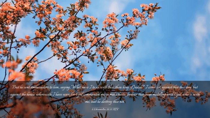 Picture 03 - 2 Chronicles 35:21 KJV Desktop Wallpaper - But he sent ambassadors to him, saying, What have - Desktop Bible Verse Wallpaper