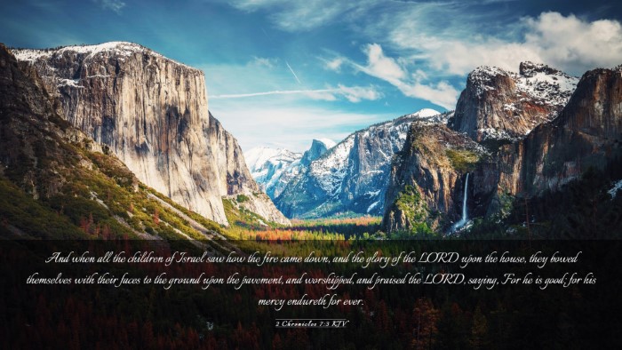 Picture 03 - 2 Chronicles 7:3 KJV Desktop Wallpaper - And when all the children of Israel saw how the - Desktop Bible Verse Wallpaper