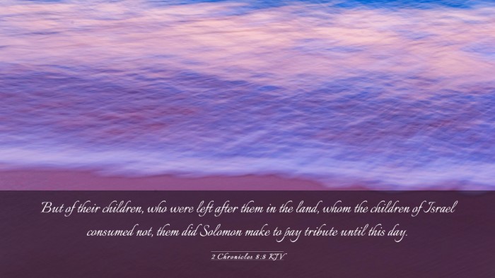 Picture 03 - 2 Chronicles 8:8 KJV Desktop Wallpaper - But of their children, who were left after them - Desktop Bible Verse Wallpaper