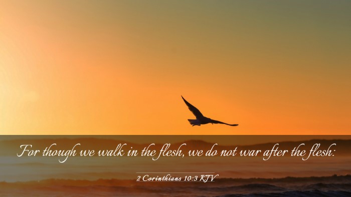 Picture 03 - 2 Corinthians 10:3 KJV Desktop Wallpaper - For though we walk in the flesh, we do not war - Desktop Bible Verse Wallpaper