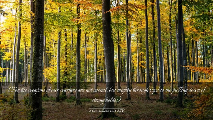 Picture 03 - 2 Corinthians 10:4 KJV Desktop Wallpaper - (For the weapons of our warfare are not carnal, - Desktop Bible Verse Wallpaper