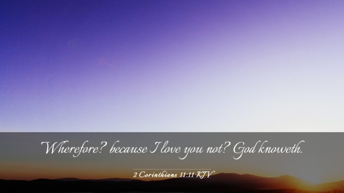 Picture 03 - 2 Corinthians 11:11 KJV Desktop Wallpaper - Wherefore? because I love you not? God - Desktop Bible Verse Wallpaper