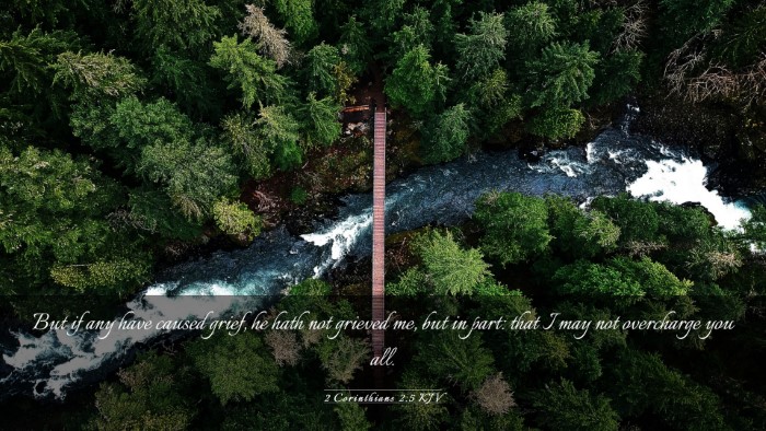 Picture 03 - 2 Corinthians 2:5 KJV Desktop Wallpaper - But if any have caused grief, he hath not grieved - Desktop Bible Verse Wallpaper