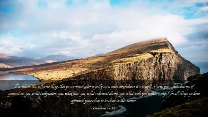 Picture 03 - 2 Corinthians 7:11 KJV Desktop Wallpaper - For behold this selfsame thing, that ye sorrowed - Desktop Bible Verse Wallpaper