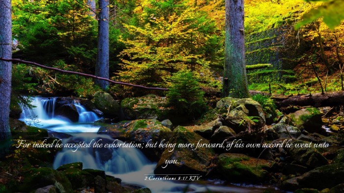 Picture 03 - 2 Corinthians 8:17 KJV Desktop Wallpaper - For indeed he accepted the exhortation; but being - Desktop Bible Verse Wallpaper