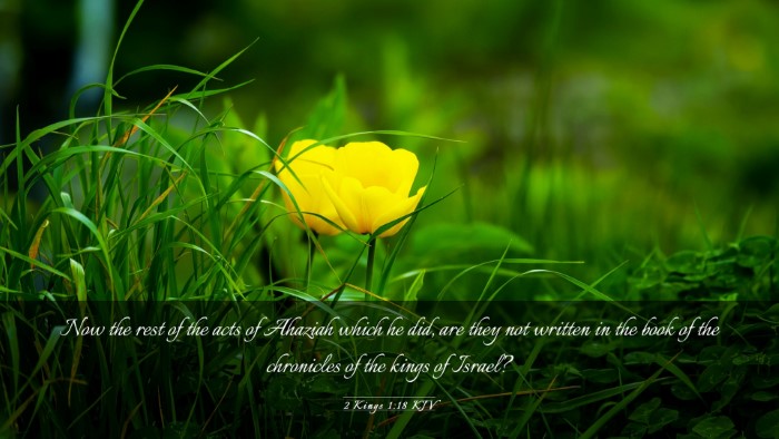 Picture 03 - 2 Kings 1:18 KJV Desktop Wallpaper - Now the rest of the acts of Ahaziah which he did, - Desktop Bible Verse Wallpaper