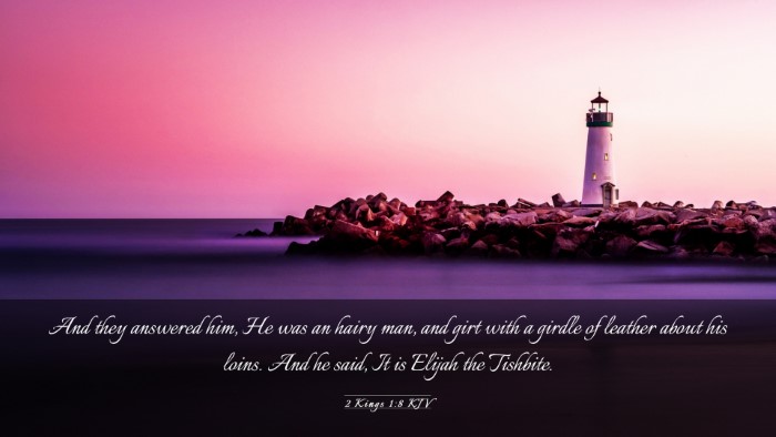 Picture 03 - 2 Kings 1:8 KJV Desktop Wallpaper - And they answered him, He was an hairy man, and - Desktop Bible Verse Wallpaper