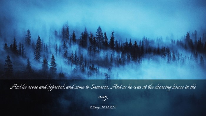 Picture 03 - 2 Kings 10:12 KJV Desktop Wallpaper - And he arose and departed, and came to Samaria. - Desktop Bible Verse Wallpaper