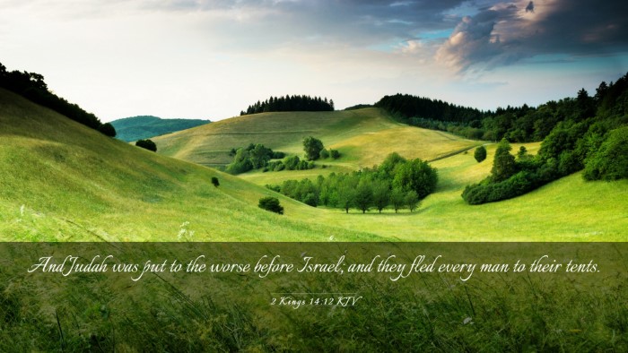 Picture 03 - 2 Kings 14:12 KJV Desktop Wallpaper - And Judah was put to the worse before Israel; and - Desktop Bible Verse Wallpaper