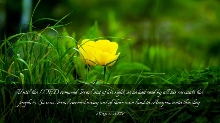 Picture 03 - 2 Kings 17:23 KJV Desktop Wallpaper - Until the LORD removed Israel out of his sight, - Desktop Bible Verse Wallpaper