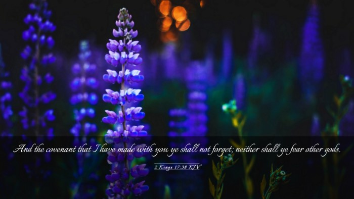 Picture 03 - 2 Kings 17:38 KJV Desktop Wallpaper - And the covenant that I have made with you ye - Desktop Bible Verse Wallpaper