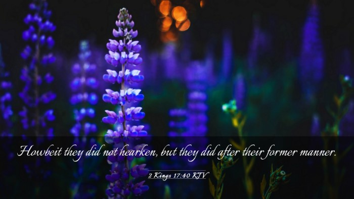 Picture 03 - 2 Kings 17:40 KJV Desktop Wallpaper - Howbeit they did not hearken, but they did after - Desktop Bible Verse Wallpaper