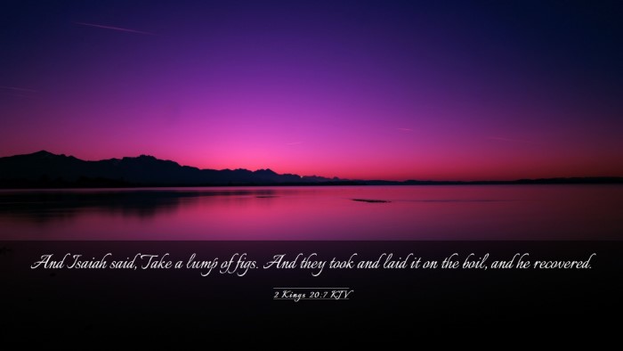 Picture 03 - 2 Kings 20:7 KJV Desktop Wallpaper - And Isaiah said, Take a lump of figs. And they - Desktop Bible Verse Wallpaper