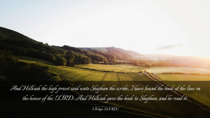 Picture 03 - 2 Kings 22:8 KJV Desktop Wallpaper - And Hilkiah the high priest said unto Shaphan the - Desktop Bible Verse Wallpaper