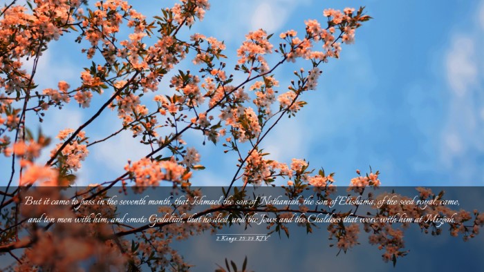 Picture 03 - 2 Kings 25:25 KJV Desktop Wallpaper - But it came to pass in the seventh month, that - Desktop Bible Verse Wallpaper