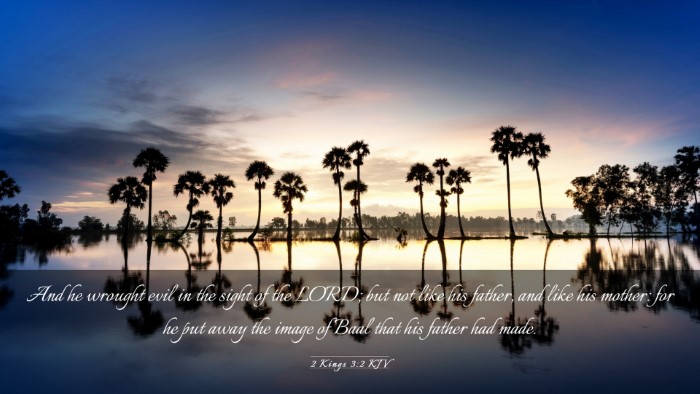 Picture 03 - 2 Kings 3:2 KJV Desktop Wallpaper - And he wrought evil in the sight of the LORD; but - Desktop Bible Verse Wallpaper