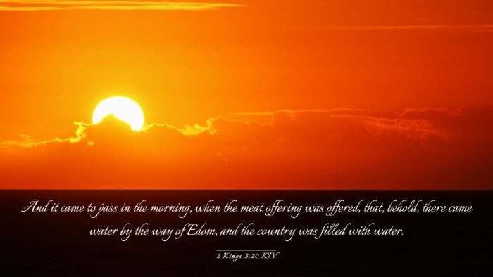 Picture 03 - 2 Kings 3:20 KJV Desktop Wallpaper - And it came to pass in the morning, when the meat - Desktop Bible Verse Wallpaper