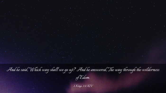 Picture 03 - 2 Kings 3:8 KJV Desktop Wallpaper - And he said, Which way shall we go up? And he - Desktop Bible Verse Wallpaper