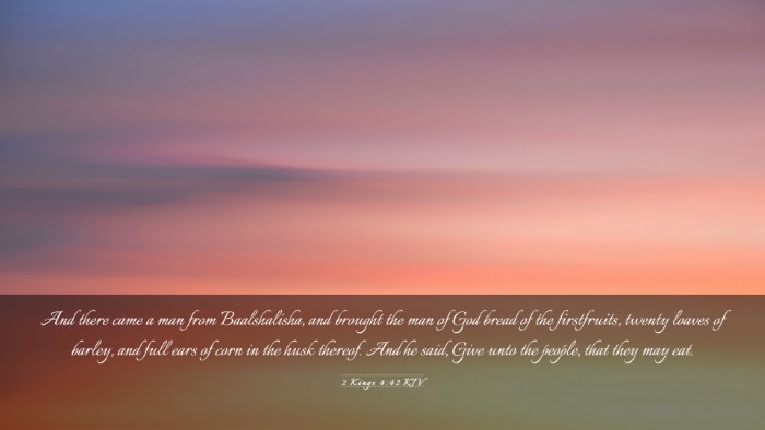 Picture 03 - 2 Kings 4:42 KJV Desktop Wallpaper - And there came a man from Baalshalisha, and - Desktop Bible Verse Wallpaper