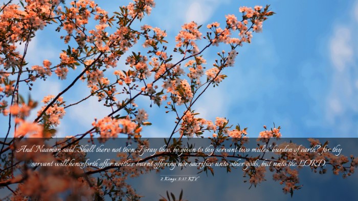 Picture 03 - 2 Kings 5:17 KJV Desktop Wallpaper - And Naaman said, Shall there not then, I pray - Desktop Bible Verse Wallpaper