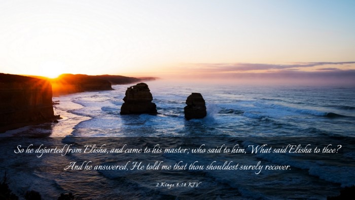 Picture 03 - 2 Kings 8:14 KJV Desktop Wallpaper - So he departed from Elisha, and came to his - Desktop Bible Verse Wallpaper